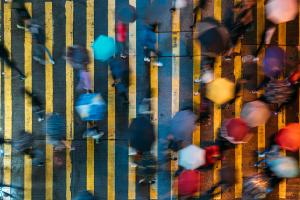 demographics of shoppers