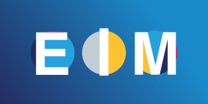 Blog header image: Enterprise Information Management System (EIM Technology) Overview article. 