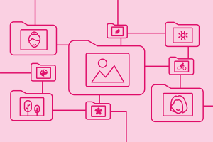 Blog header image: How to Manage Stock Photos in Your DAM System article. 