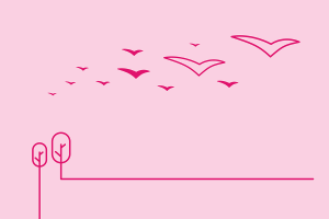 Blog header image: Migrating Content to a New Digital Asset Management System article.