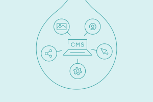 Blog Graphic-Content Management System-Forrester CMS Wave Q3 2023