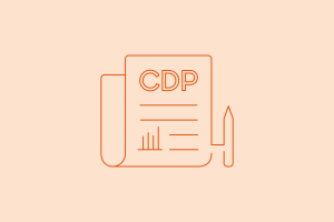 Customer Data Platform Blog Graphic