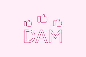 dam blog thumbnail