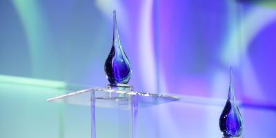 Winners of 2017 Acquia Engage Award