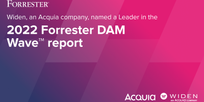 2022 Forrester DAM Wave Report