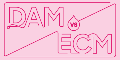 Blog header image: DAM vs. ECM, and Which is Right for You? article.