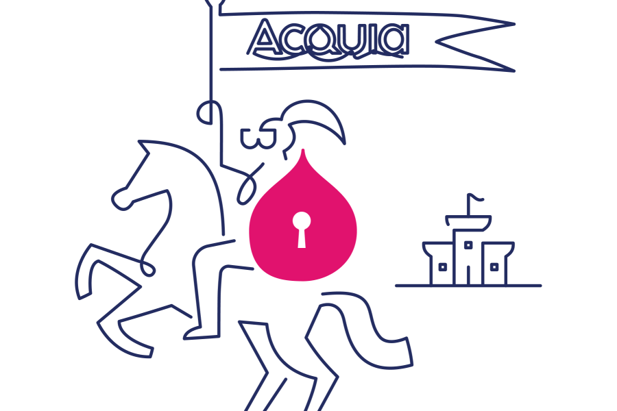 navy and pink line art of a knight with a shield with a lock on it and a castle in the background
