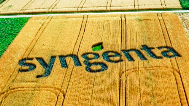 Syngenta logo