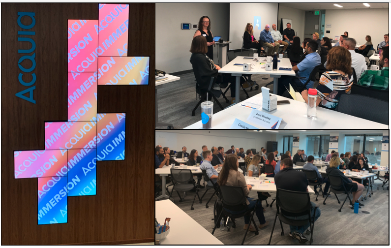 acquia immersion