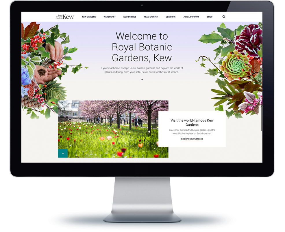 Kew.org website on computer screen