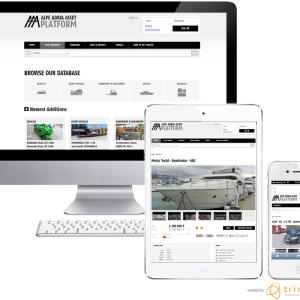 aaap-reponsivedesign_960x800.jpg
