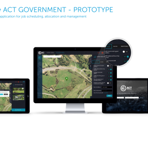 esri_and_government.png