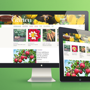msg-startseite-desktop-tablet-green.png