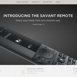 savant_website.png