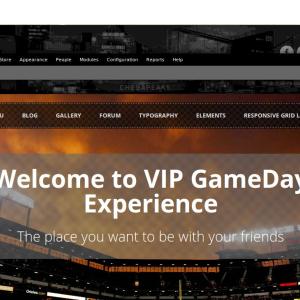 vipgameday.jpg