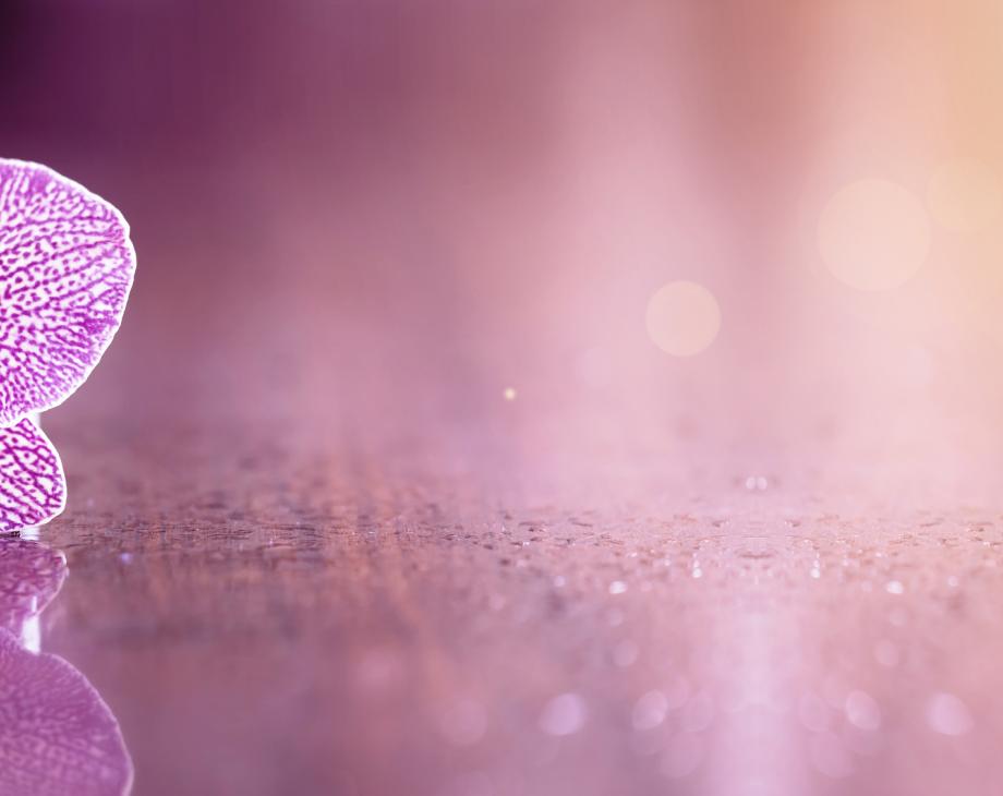 Beautiful Not Boring; Standardizing Your Sites the Right Way