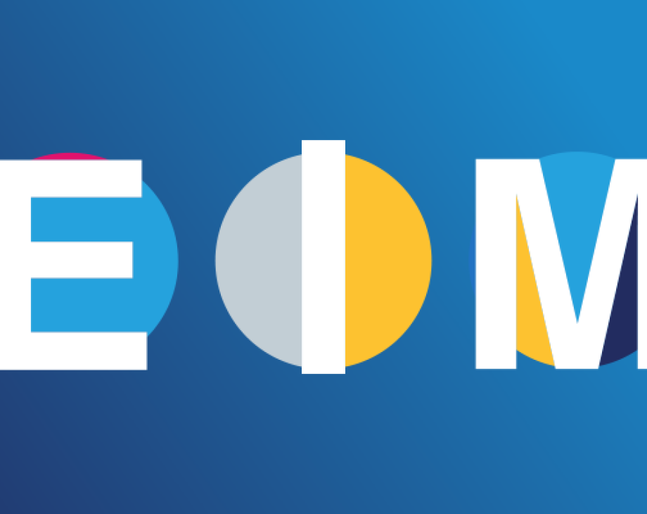 Blog header image: Enterprise Information Management System (EIM Technology) Overview article. 