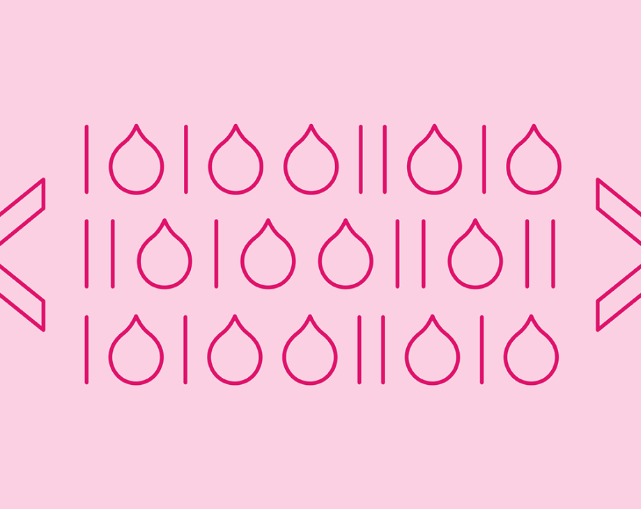 Blog header image: Power Your Content Using Embed Codes article.