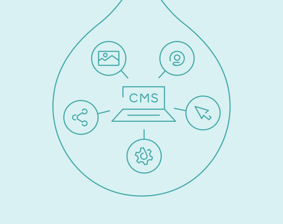 Blog Graphic-Content Management System-Forrester CMS Wave Q3 2023