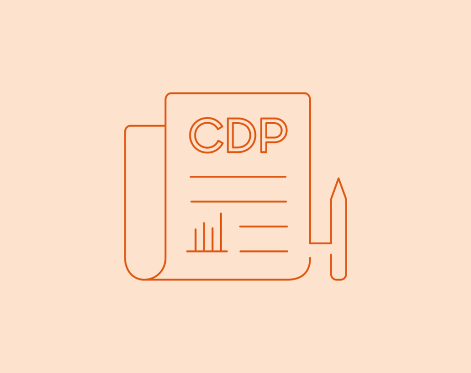 Customer Data Platform Blog Graphic