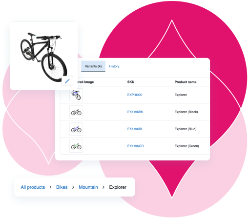 Product UI showing selections of product asset variant selection