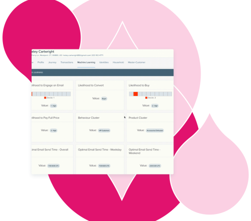 Customer-Level Intelligence Screenshot