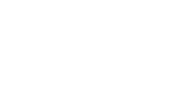 Promet Source Logo